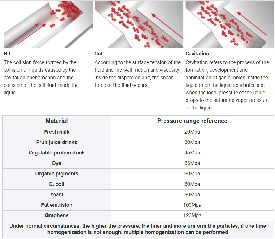 Expanded Graphite Worm High Pressure Homogenizer